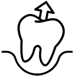 Simple tooth extraction