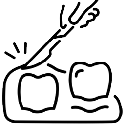 Surgical