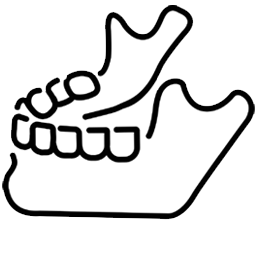 Dental bone grafts